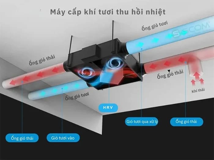 Điều Gì Đang Ẩn Trong Không Khí Bạn Hít Thở Mỗi Ngày?