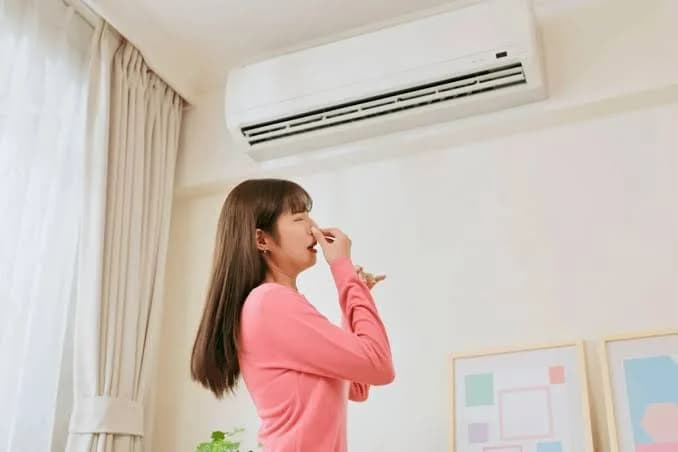 Mùi Thức Ăn, Mùi Thuốc Lá Và Không Khí Tù Đọng Đang Ảnh Hưởng Đến Quán Bạn Như Thế Nào?