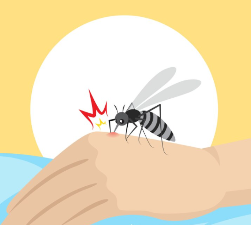 Hiệu quả của hệ thống lọc không khí qua khả năng bắt muỗi 